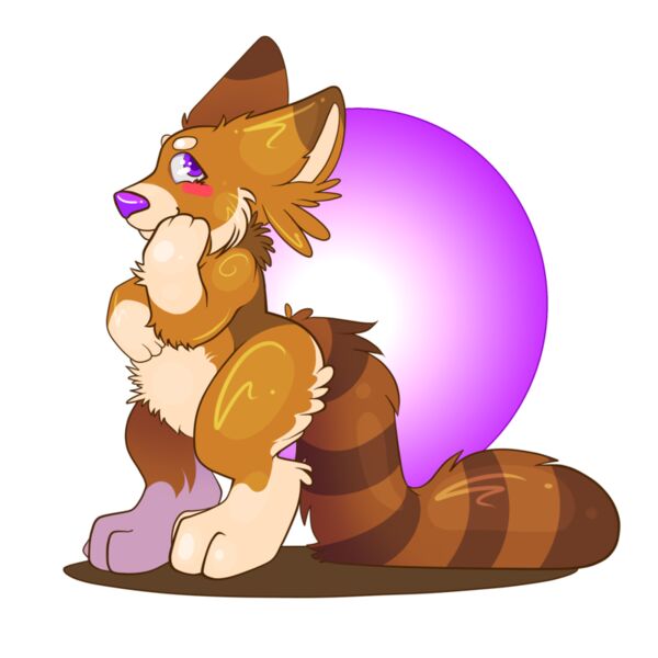 Pandorgi 26 02 2020 Thumbnail