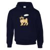 DryBlend® adult hooded sweatshirt Thumbnail