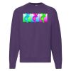 Classic 80/20 raglan sweatshirt Thumbnail