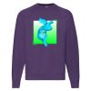 Classic 80/20 raglan sweatshirt Thumbnail